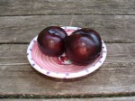 DSC00362 plums DSC00362 plums