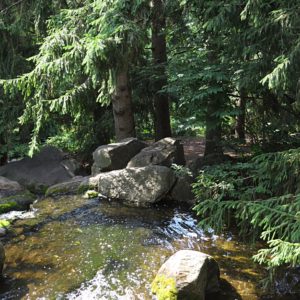 Minneapolis acupuncture clinic