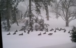 winter storm